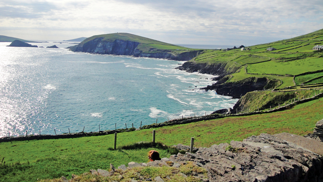 Calling Them Home to Ireland