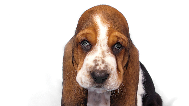 Strategies the Experts Use