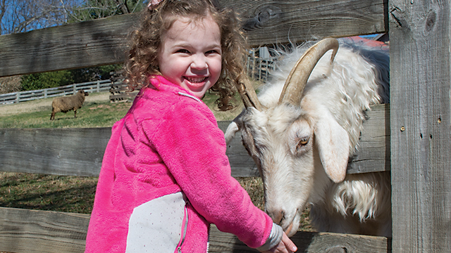 Maymont is Richmond’s Natural Treasure