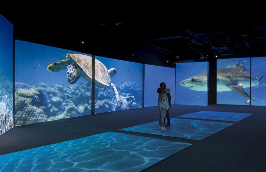 Learning Fun and a Shark-Sized Adventure at Science Museum of Virginia Planet Shark exhibit at Science Museum