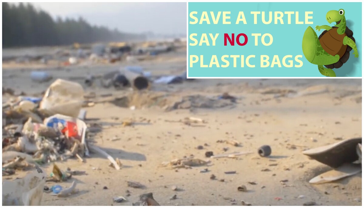 Henrico Organizations Work to Eliminate Single-Use Plastic Bags