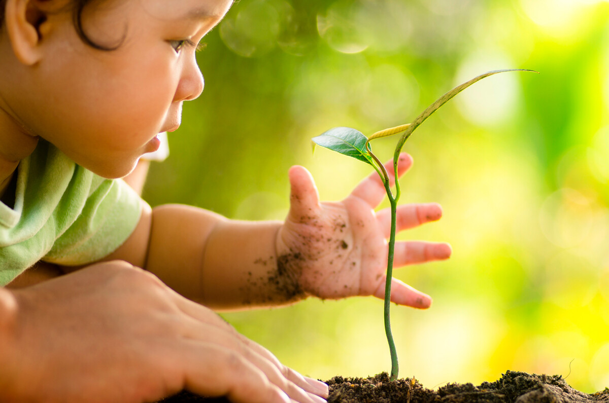 Dominion Energy’s “Project Plant It!” Helps Grow Young Minds