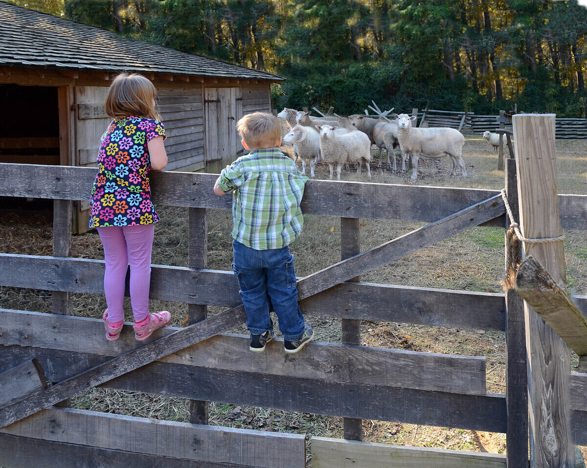 Hiking Through History
