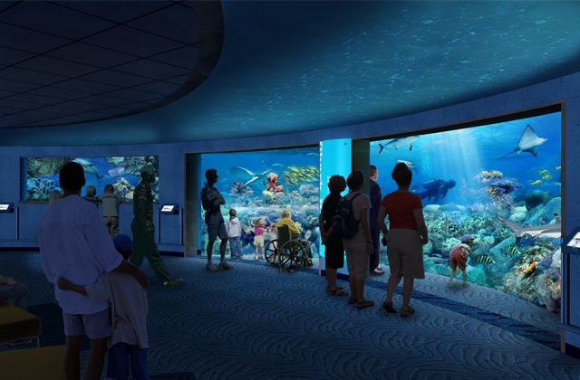 National Aquarium to Open Blacktip Reef Exhibit July 10