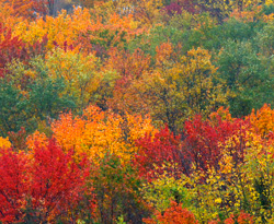 Where and When to See Virginia Fall Landscape