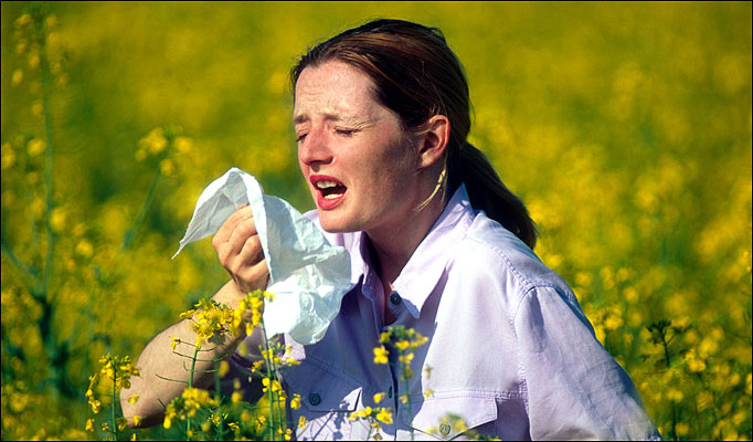 It’s Spring Sneezing Time